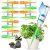 12Pcs Plants Self-watering Spikes