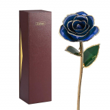 24k Gold Rose