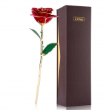 24k Gold Rose