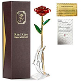 24k Gold Rose, Gold Plated Long Stem Green Leaf Forever Rose is Handmade from Real Rose Flower, Gift for Lover on Birthday Anniversary Christmas Valentines Day Mothers Day(Purple)