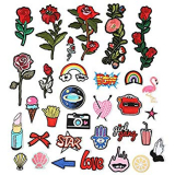 ARTISTORE Iron On Patches 31pcs Assorted Size Rose Cartoon Embroidered Motif Applique Decoration Patches DIY Sew on Patch for Jeans Clothing Denim Jeans Jacket Handbag Shoes mm.