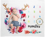 Baby Monthly Milestone Blanket