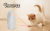 Cat Light Toy