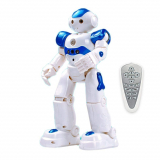 Early education remote control robot