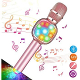 Karaoke Microphone