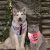 Personalised Dog Bandana