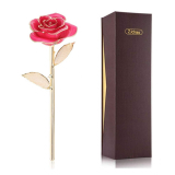 Valentines Gifts 24k Gold Rose